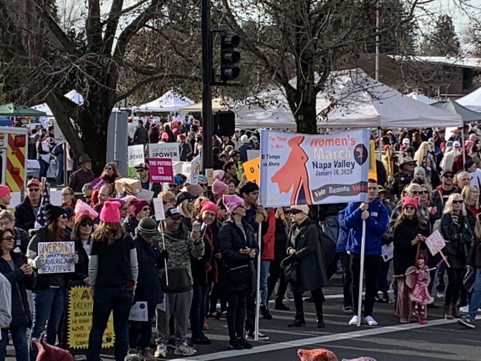Women's March Napa Valley